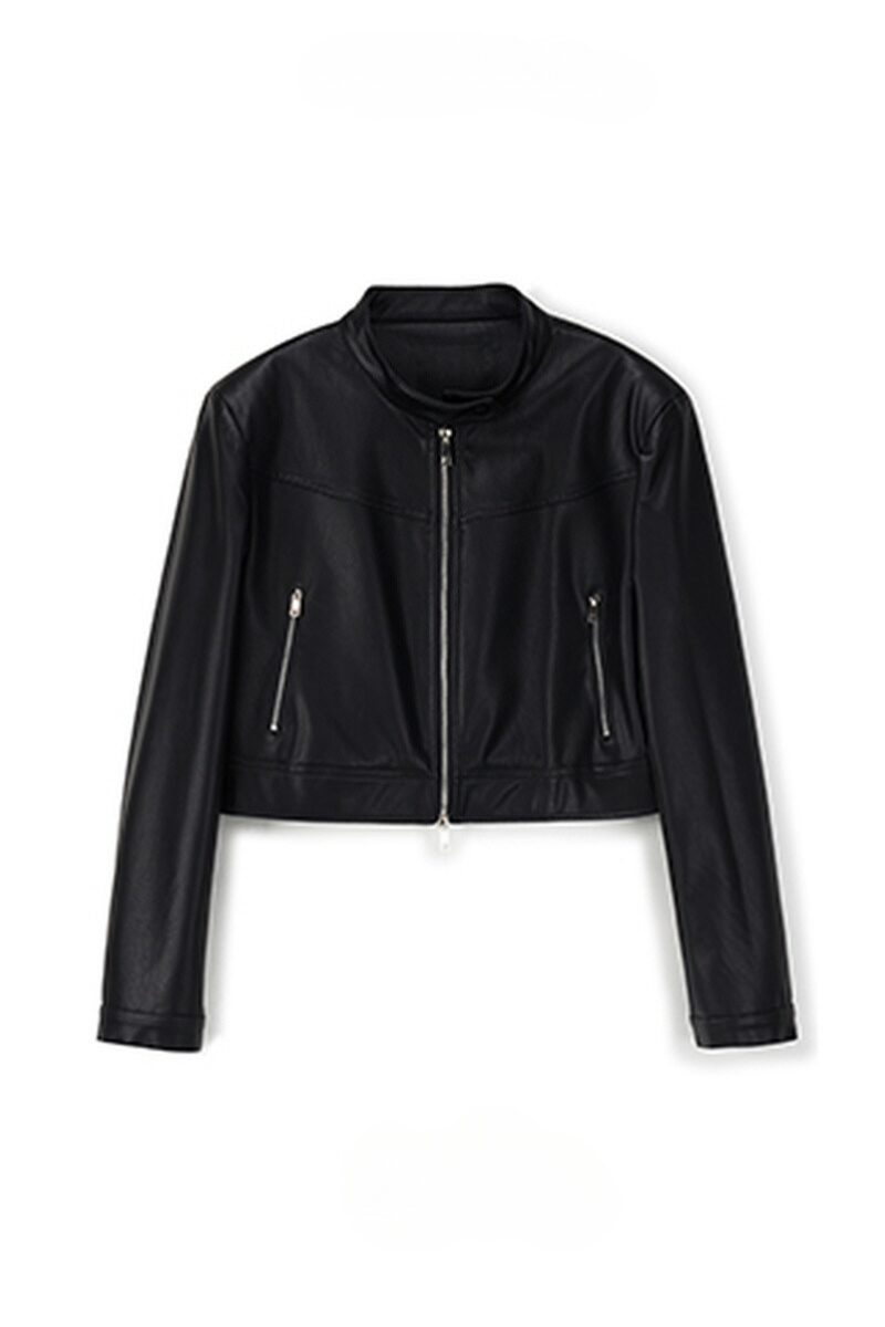 Stand-Up Slim Dandy Leather Jacket